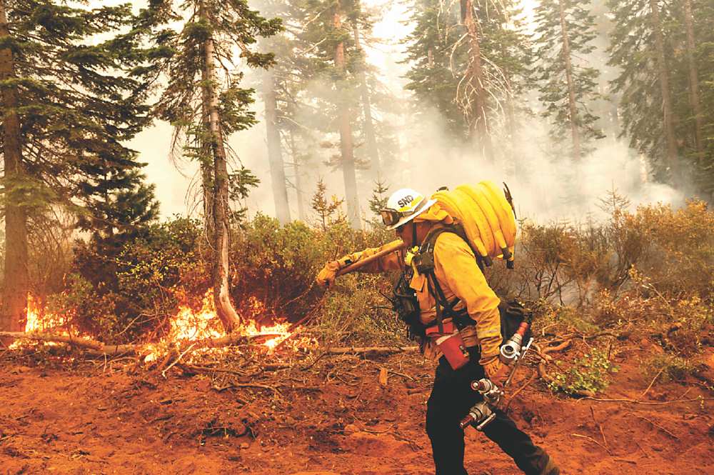 ●美國西岸野火狂燒,也成為美國選戰另一攻防議題。圖/美聯社 image