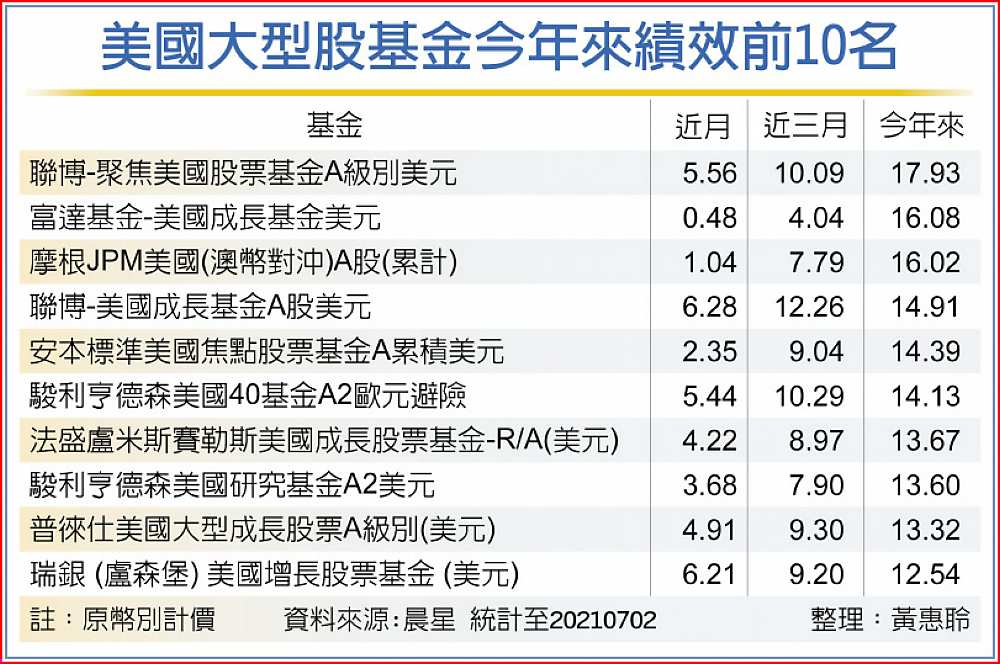 美國大型股基金今年來績效前10名 image