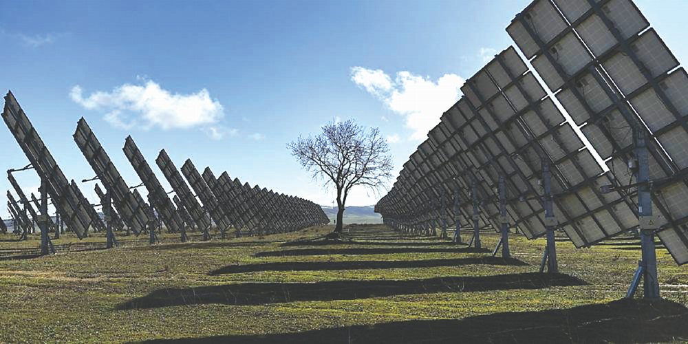 ●企業必須同時因應及管理「氣候變遷」與「生物多樣性」議題對企業所造成的雙重危機,從而轉型並創造新的商業機會。圖/美聯社 image