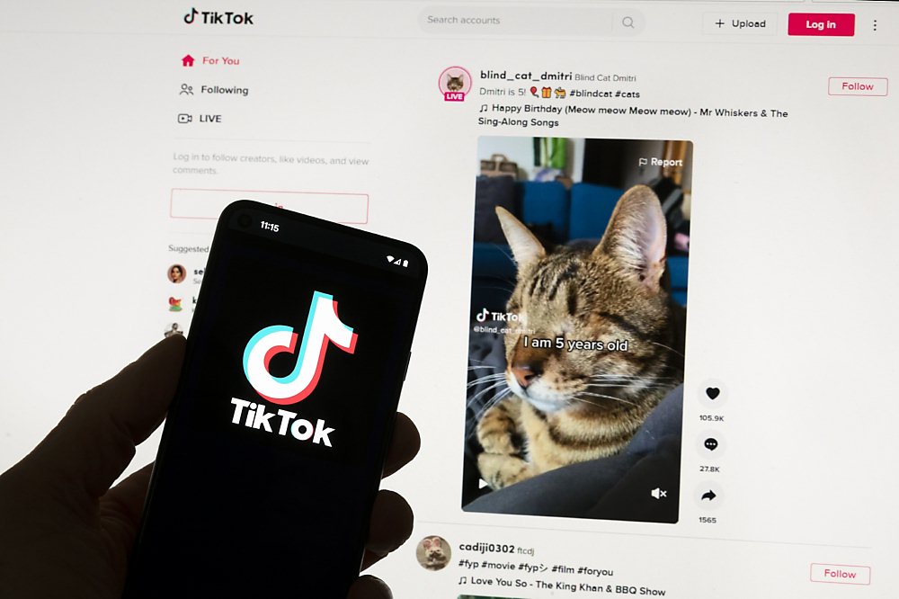 TikTok一路在政治叢林中翻滾,各種手法與應對策略,堪為企業海外投資的政治風險應對參考書。圖/美聯社 image
