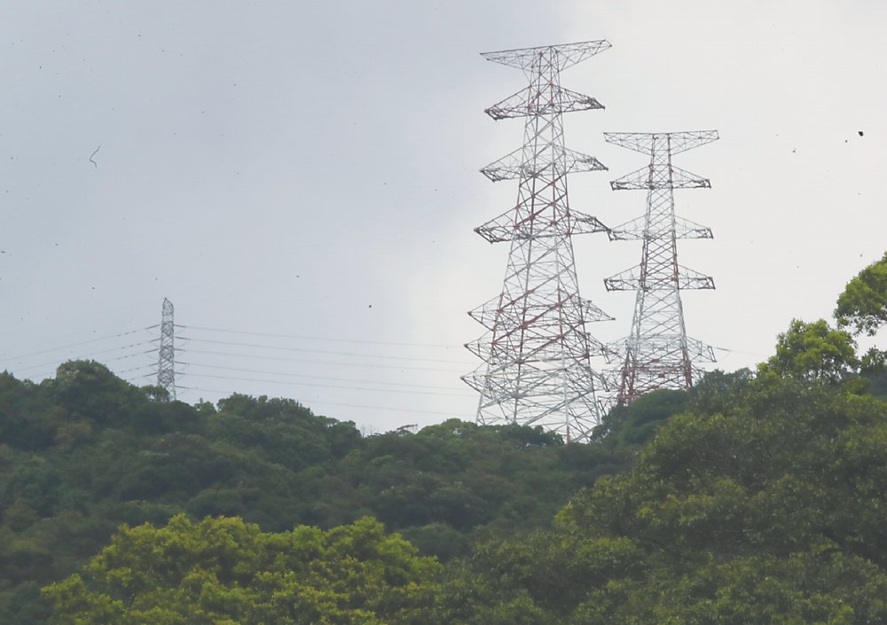台股電廠的概念股近期再度在台股重燃起熱潮,如重電、電線電纜、風力發電等綠能股。圖/本報資料照片 image