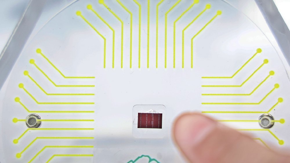 ●熱處理設備廠志聖(2467)展望2025年,先進封裝產能擴增幅度強勁。圖/摘自本報照片 image